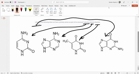 which-of-the-following-does-not-have-a-primary-amine-as-part-of-its-structure-cytosine-adenine-thymine-guanine-35233