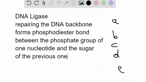 if-dna-ligase-was-nonfunctional-what-would-be-a-likely-consequence-a-dna-replication-would-not-be-able-to-occur-at-all-b-dna-replication-would-occur-but-the-leading-strand-would-be-composed-63161