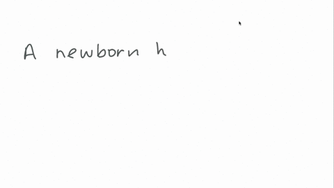 at-what-age-does-a-person-have-the-greatest-number-of-neurons-as-an-embryo-newborn-child-adolescent-43536