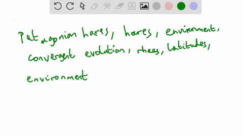 complete-the-following-paragraph-t0-describe-darwins-study-of-biogeography-labels-may-be-used-more-than-once-patagonlan-hares-as-darwin-sailed-around-south-america-he-had-opportunity-t0-comp-67983