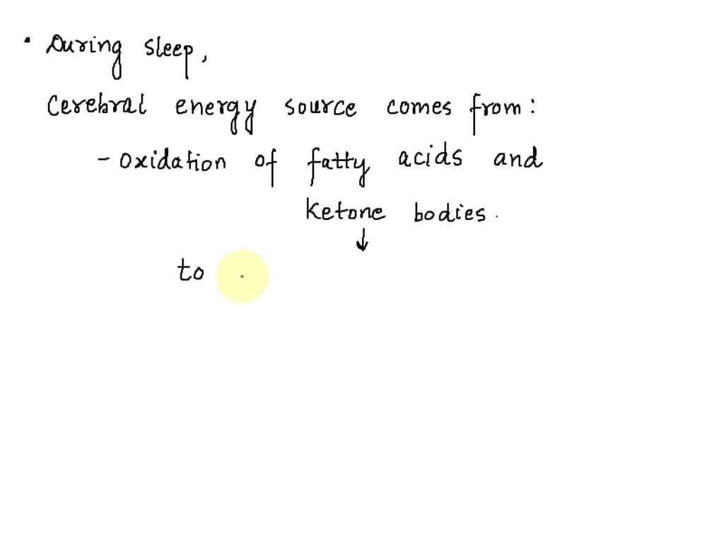 During Sleep The Body Provides Fuel To The Brain SOLVED: During sleep, the body provides fuel to the brain during sleep
