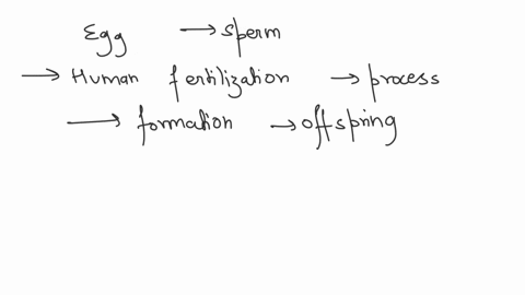 please-help-what-is-a-false-staterment-about-the-fusion-of-egg-and-sperm-cells-in-humans-during-the-acrosomal-reactionthe-sperm-head-morphs-into-a-drill-shapethe-acrosome-subsequently-powers-18424