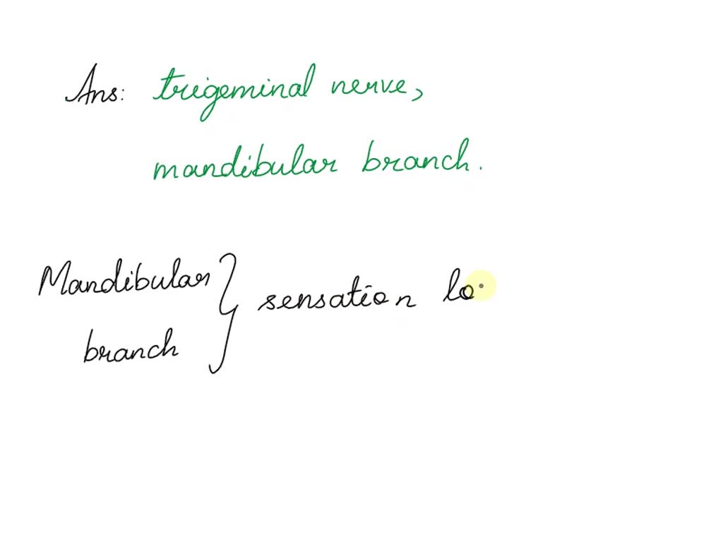 SOLVED During dental work, Novocain is often injected into the skin inside the mouth or gums