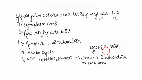 directions-fill-in-each-blank-with-the-correct-term-related-to-metabolism-glycolysis-takes-place-in-the-blank-of-a-cell-it-starts-with-one-6-carbon-molecule-of-glucose-and-results-in-2-3-car-45067