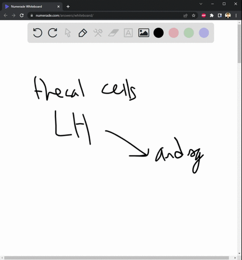 during-estrogen-production-by-the-follicle-the-_____-cells-under-the-influence-of-the-hormone-______-71277