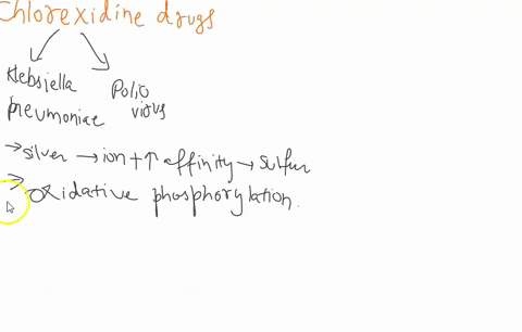 17-name-two-organisms-that-chlorhexidine-is-ineffective-against-14-silver-a-denatures-proteins-b-disrupts-membranes-c-affects-nucleic-acids-d-stops-oxidative-respiration-20-nitrites-a-react-74165