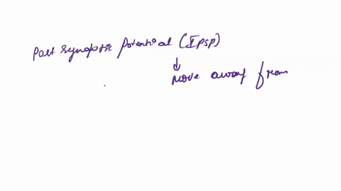 17-during-an-inhibitory-postsynaptic-potential-the-postsynaptic-membrane-increases-in-permeability-to-kt-b-increases-in-permeability-to-na-c-decreases-in-permeability-to-cl-d-increases-in-pe-84153