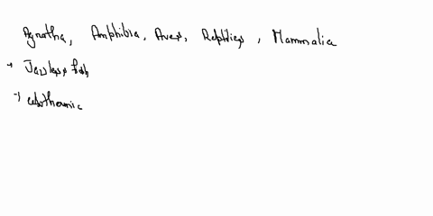 q4-within-the-phylum-chordata-have-chosen-the-following-subphyla-and-classes-agnatha-amphibia-aves-cephalochordata-chondrichthyes-mammalia-osteichthyes-reptilia-and-urochordata-find-at-least-45494