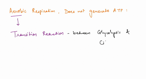 question-7-1-pts-during-aerobic-respiration-which-of-the-following-processes-does-not-generate-atp-intermediate-transition-step-electron-transport-chain-krebs-cycle-glycolysis-03876