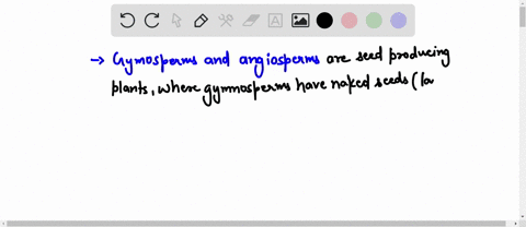 which-lineages-produce-seeds-select-all-that-apply-bryophytes-lycophytes-monilophytes-gymnosperms-angiosperms-69778