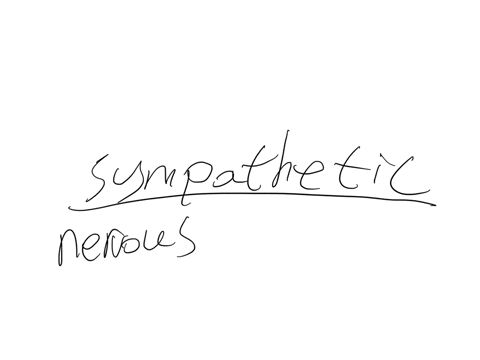 if-a-person-needs-to-run-away-from-a-dangerous-situation-the-________-nervous-system-sends-blood-to-the-persons-extremities-to-prepare-him-or-her-for-taking-off-group-of-answer-choices-central-somatic