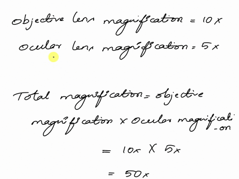 what-would-be-the-magnification-of-a-specimen-viewed-with-a-compound-light-microscope-that-has-an-objective-power-of-10x-and-an-ocular-lens-power-of-5x-41582