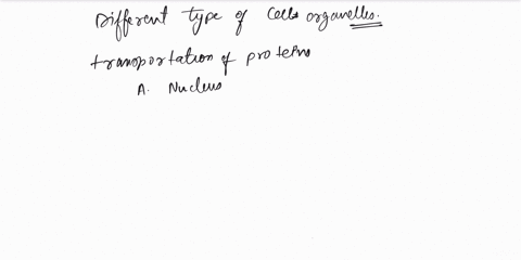 the-cell-organelle-which-is-meant-for-the-transportation-of-proteins-between-regions-of-cytoplasm-is-a-nucleus-b-lysosomes-c-endoplasmic-reticulum-d-golgi-complex-11658