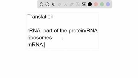 what-are-the-nucleic-acids-used-during-translation