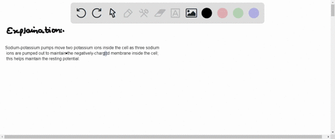 comment-on-the-role-of-the-sodium-potassium-pump-in-maintaining-a-cells-resting-membrane-potential-89754