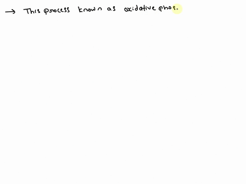 what-is-the-maximum-number-of-atp-produced-by-energy-generated-when-electrons-flow-from-nadh-to-oxyg-83103