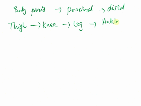 which-of-the-following-is-the-correct-order-of-the-following-body-parts-from-proximal-to-distal-1-is-most-proximal-5-is-most-distal-leg-foot-thigh-ankle-knee-18123