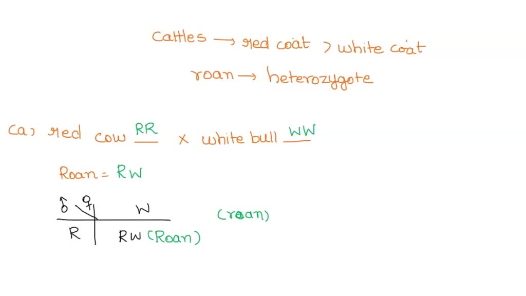 SOLVED: 8. In some types of cattle, red coat color is incompletely ...