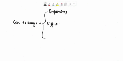 complete-the-following-concept-map-to-review-some-of-the-concepts-of-gas-exchange-2-16123