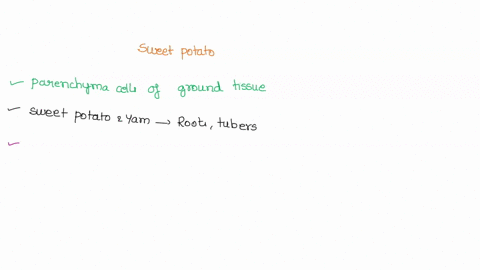 when-you-eat-a-yam-or-a-sweet-potato-what-kinds-of-cells-and-tissues-are-you-consuming-describe-the-tissue-08492