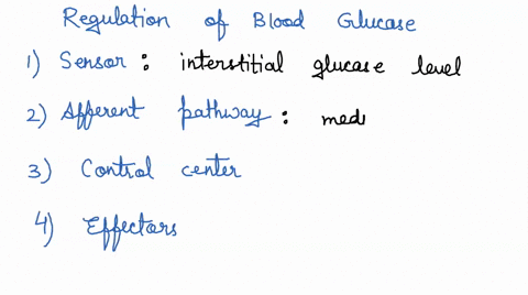 the-regulation-of-blood-glucose-as-an-example-of-negative-feedback-in-biology-after-doing-some-research-on-your-owi-describe-the-following-components-for-blood-glucose-regulation-sensor-affe-94879