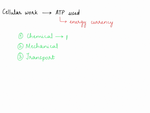chapter-8what-are-three-types-of-cellular-work-atp-powers-give-an-example-of-each-27746