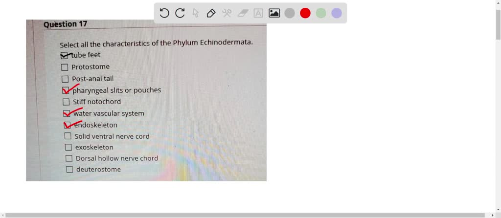 SOLVED: Select all the characteristics of the Phylum Echinodermata