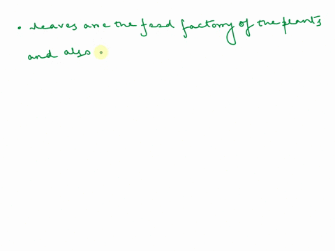 why-is-having-very-small-few-leaves-a-disadvantage-to-the-plant-33231