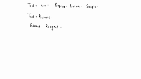 whats-the-difference-between-absolute-and-relative-bioavailability-78952