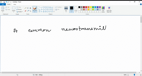 what-is-a-common-neurotransmitter-a-acetylcholine-b-gaba-c-serotonin-d-all-of-the-above-32908