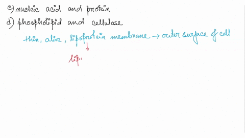 which-of-the-following-types-of-molecules-are-the-major-structural-components-of-the-ce-membrane-select-one-a-proteins-and-cellulose-b-phospholipids-and-proteins-cnucleic-acids-and-proteins-90999