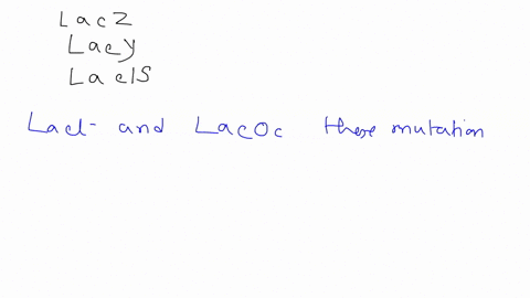 select-all-genotypes-that-would-result-in-bacteria-that-are-unable-to-utilize-lactose-check-all-that-apply-lacz-iacf-lacy-iacl-81443