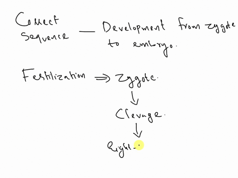 which-of-the-following-is-the-correct-sequence-of-development-from-zygote-to-embryo-cleavage-gastrula-morula-blastocyst-blastocyst-cleavage-gastrula-morula-cleavage-blastocyst-morula-gastrul-33851