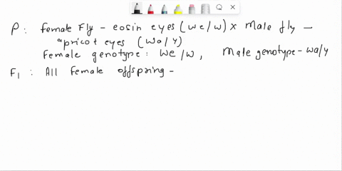 in-drosophila-allelic-series-of-gene-w-determine-the-color-of-an-eye-w-determines-red-color-wild-type-we-determines-eosin-color-and-wa-apricot-color-the-allelic-realtions-are-w-we-wa-w-the-g-82257