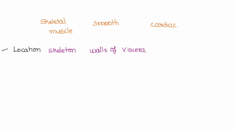 what-are-the-similarities-and-differences-between-skeletal-muscle-cardiac-muscle-and-smooth-muscle-40795