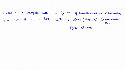 after-telophase-of-meiosis-the-chromosomal-makeup-of-each-daughter-cell-is-diploid-and-the-chromosomes-are-each-composed-of-a-single-chromatid-haploid-and-the-chromosomes-are-each-composed-o-62894
