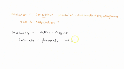 malonate-is-a-strong-competitive-inhibitor-of-succinate-dehydrogenase-how-does-the-inhibition-of-this-enzyme-affect-the-citric-acid-cycle-will-this-inhibition-have-an-effect-of-the-respirato-20358