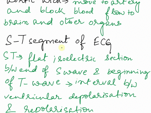 1-if-a-blood-clot-obstructs-the-middle-branch-of-the-aortic-arch-it-will-affect-blood-flow-to-the-2-what-event-does-the-s-t-segment-of-the-ecg-represent-3-define-terms-sublingual-angina-angi-02848