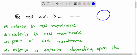 the-cell-wall-is-__________-a-interior-to-the-cell-membrane-b-exterior-to-the-cell-membrane-c-a-part-77064