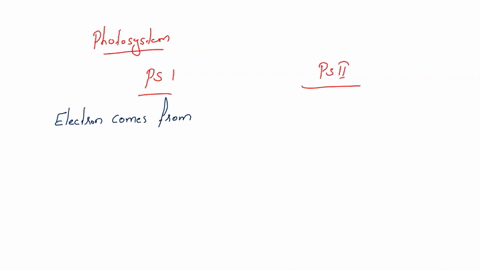 photosynthesis-and-aerobic-respiration-are-similar-in-some-respects-both-have-an-electron-transport-chain-which-is-used-to-generate-a-proton-gradient-the-electrons-that-enter-the-etc-in-mito-96199