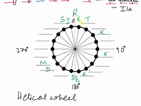 please-draw-the-diagram-required-9please-develop-the-helical-wheel-for-the-following-amino-acid-sequencer-k-m-k-d-t-d-5-e-e-e-i-thenmatch-the-helix-with-the-proper-imagejustify-your-answer10-45393