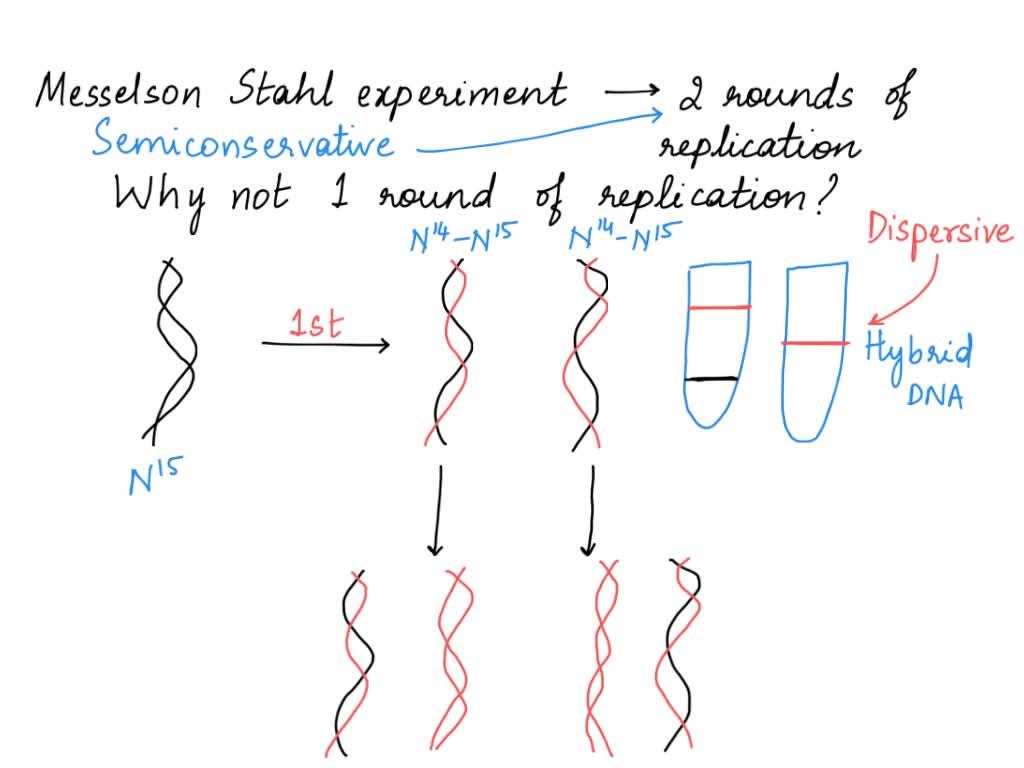 SOLVED Review Figure 11.4 and Figure 11.5. Why was it important that