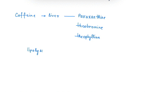 epinephrine-initiates-a-signal-transduction-pathway-that-produces-cyclic-amp-ccamp-and-leads-to-the-breakdown-of-glycogen-to-glucose-a-major-energy-source-for-cells-but-glycogen-breakdown-is-49279