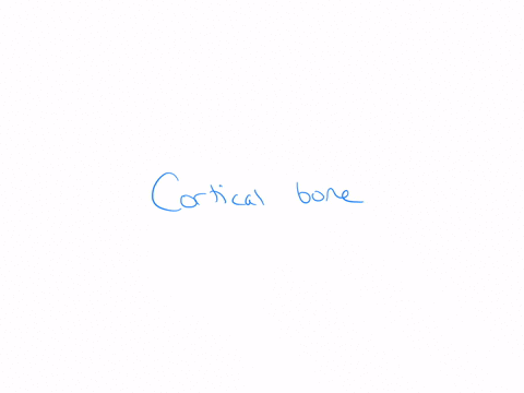 the-periosteum-covers-which-bone-issue-group-of-answer-choices-spongy-bone-trabecular-bone-cancellous-bone-cortical-bone