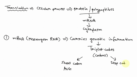 which-of-the-following-is-not-required-for-protein-synthesis-a-ribosomes-b-all-of-the-various-trnas-with-their-attached-amino-acids-c-atp-d-mrna-23333