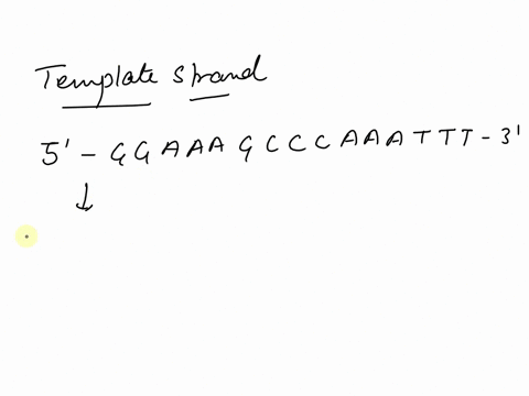 what-is-the-amino-acid-sequence-written-n-terminus-to-c-terminus-encoded-into-the-following-double-stranded-dna-sequence-shown-below-use-the-genetic-code-and-assume-the-mrna-is-translated-wi-05083