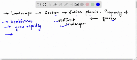 the-demaris-family-is-deciding-how-to-landscape-their-new-home-due-040621-1159pm-the-demaris-family-is-deciding-how-to-landscape-their-new-home-a-gard-as-well-as-native-plants-which-property-87326
