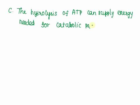 which-of-the-following-statements-about-atp-adenosine-triphosphate-is-correct-hints-which-of-the-following-statements-about-atp-adenosine-triphosphate-is-correct-the-hydrolysis-of-atp-is-an-31873