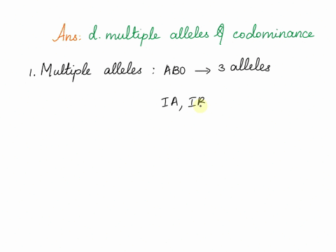 the-abo-blood-groups-in-humans-are-expressed-as-the-i4-ib-and-i-alleles-the-ia-allele-encodes-the-a-35568