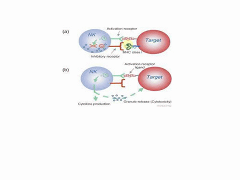killing-of-virus-infected-cells-is-carried-out-by-cytotoxic-t-cells-ctls-and-natural-killer-nk-cells-which-of-the-following-statements-about-these-cells-below-are-correct-a-ctls-express-on-t-47348